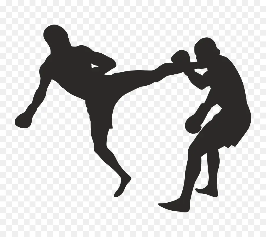 Silhouette De Kick Boxing，Kickboxing PNG