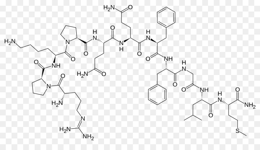 La Substance P，Le Neuropeptide PNG