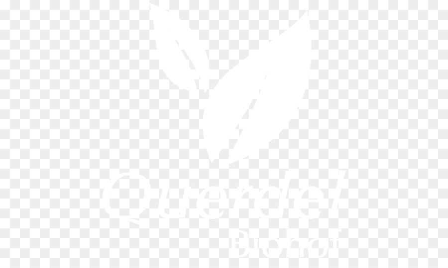 Couleur，Blanc PNG