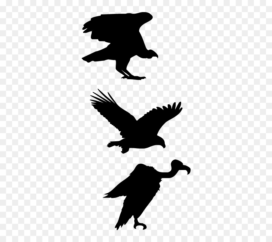 Silhouettes D'oiseaux，Vol PNG