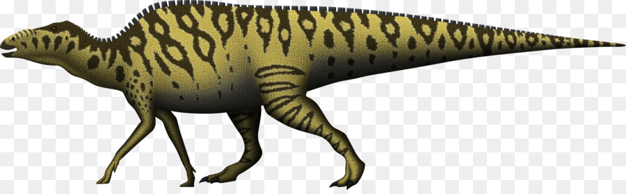 Le Tyrannosaure，Shantungosaurus PNG