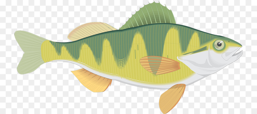 Blog，Poisson PNG