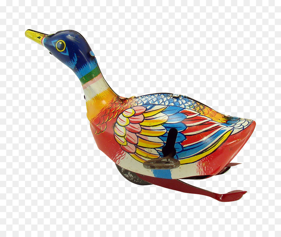 Canard，Plume PNG