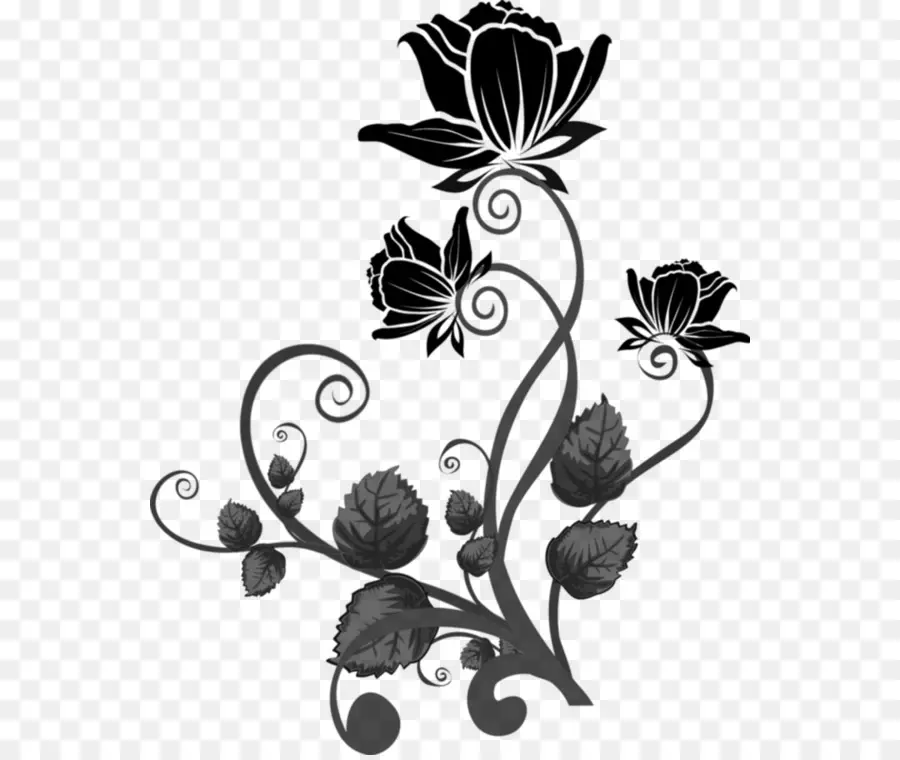 Motif Floral Noir，Modèle PNG