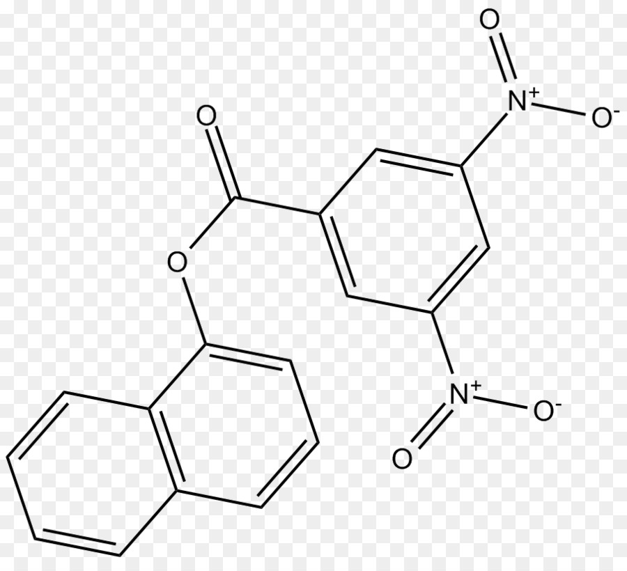 Lipoxygénase，Le Métabolisme PNG