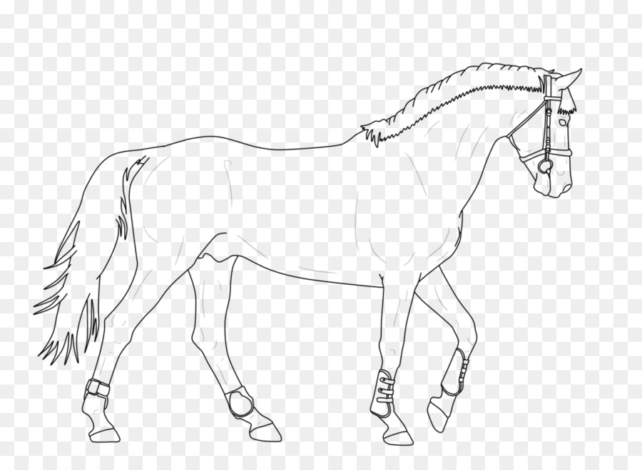 Cheval，Dessin Au Trait PNG