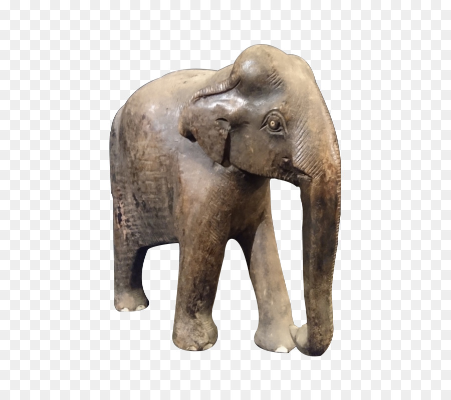 éléphant Indien，Népal PNG