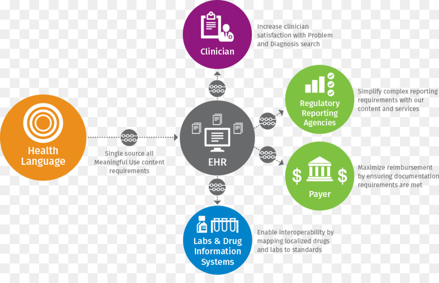 Infographie，Informations PNG