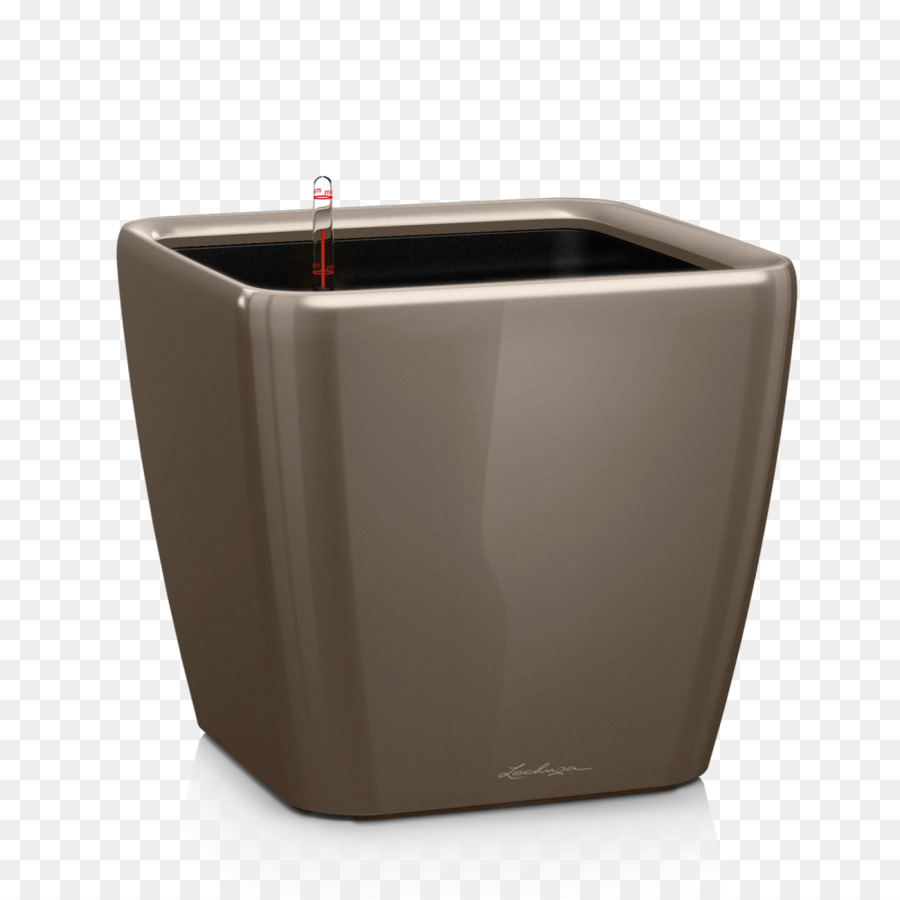 Flowerpot，Plante PNG