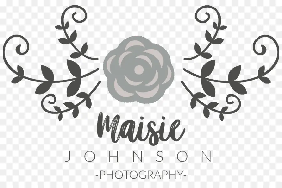 Logo De Photographie，Marque PNG