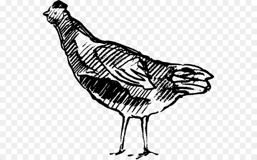 Coq，Poulet PNG