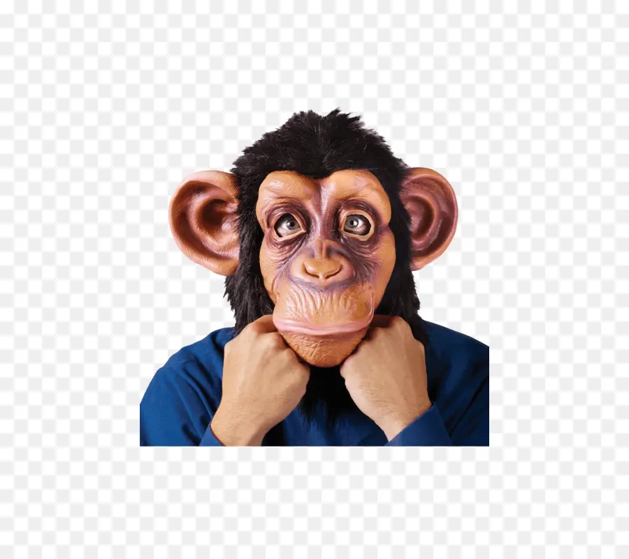 Masque De Singe，Chimpanzé PNG