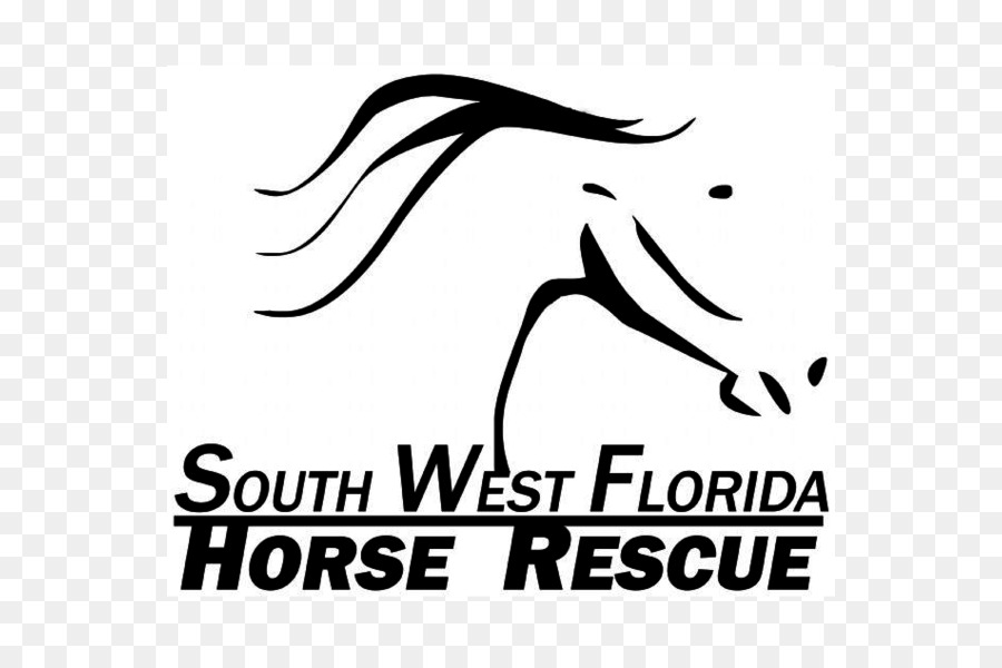 Cheval，Sud Ouest De La Floride Horse Rescue Inc PNG