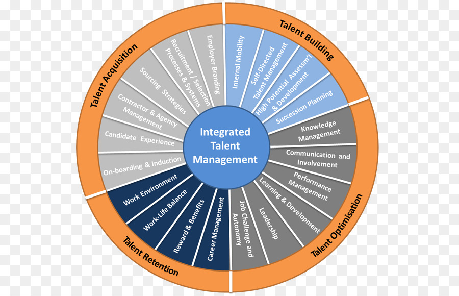 La Gestion Des Talents，Gestion PNG