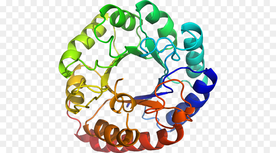 Structure Des Protéines，Biologie PNG