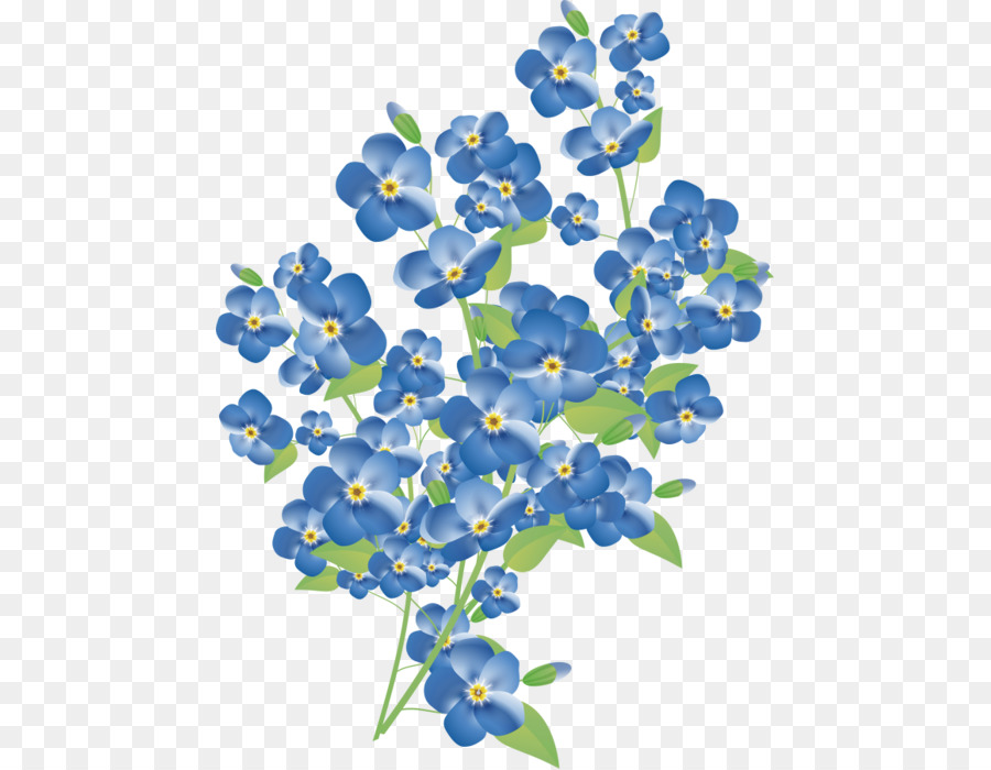 Fleur Myosotis Stricta Peinture à Laquarelle Png Fleur