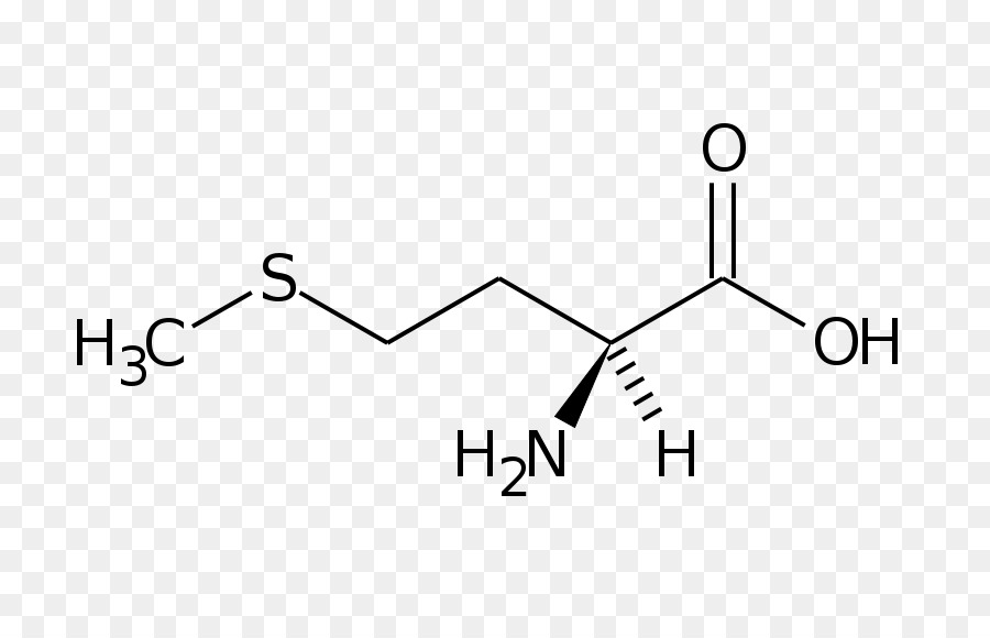 La Phénylalanine，D Acides Aminés PNG