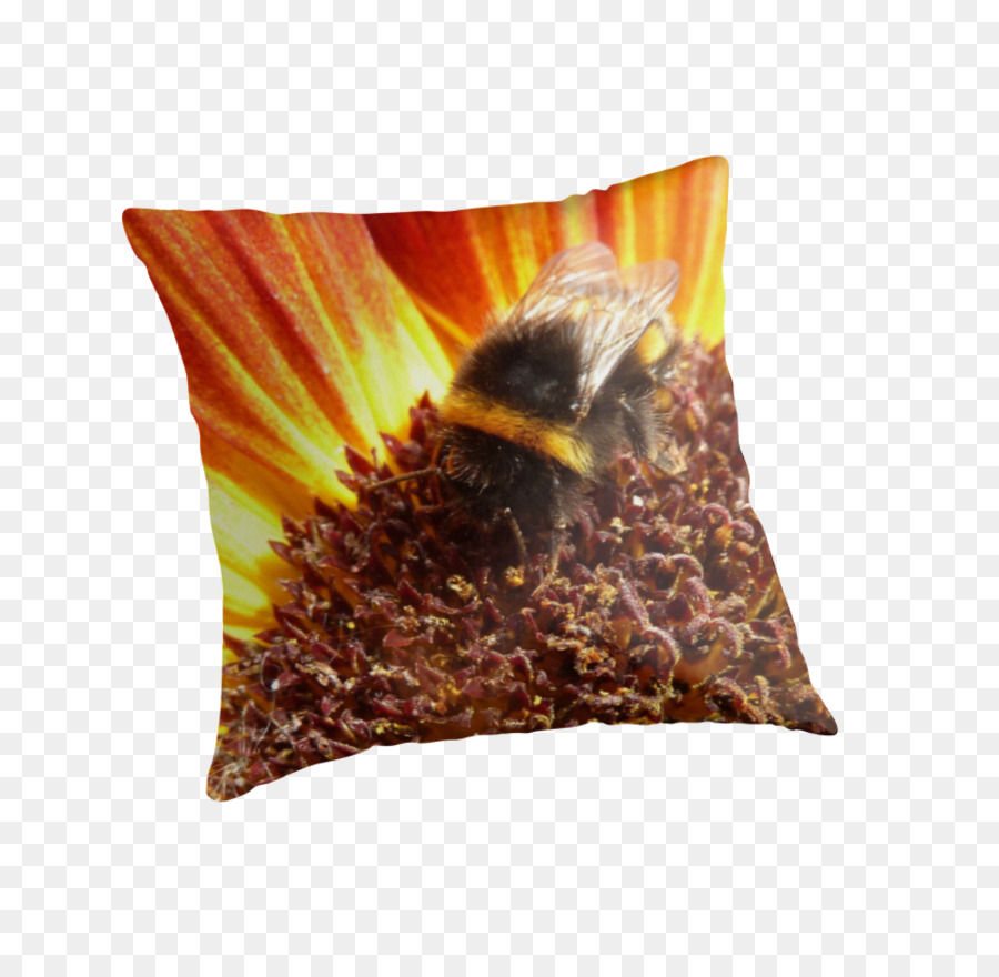 Coussin， PNG