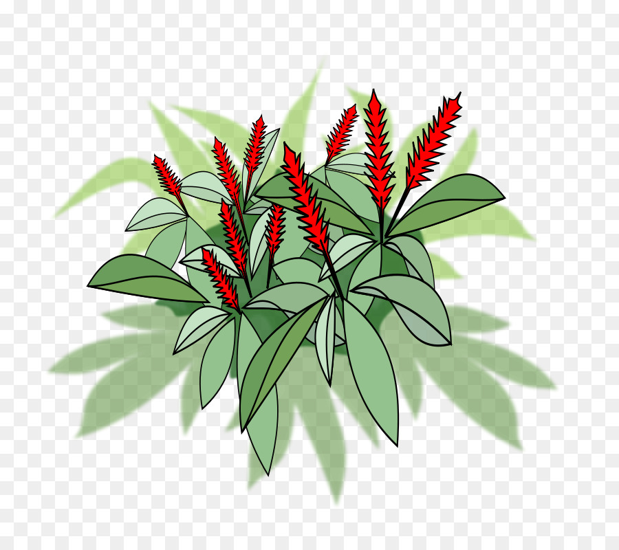 Fleurs Rouges，Feuilles Vertes PNG