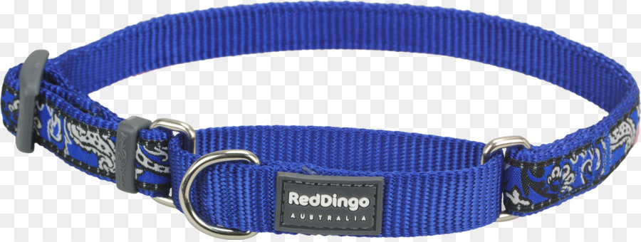 Dingo，Collier De Chien PNG