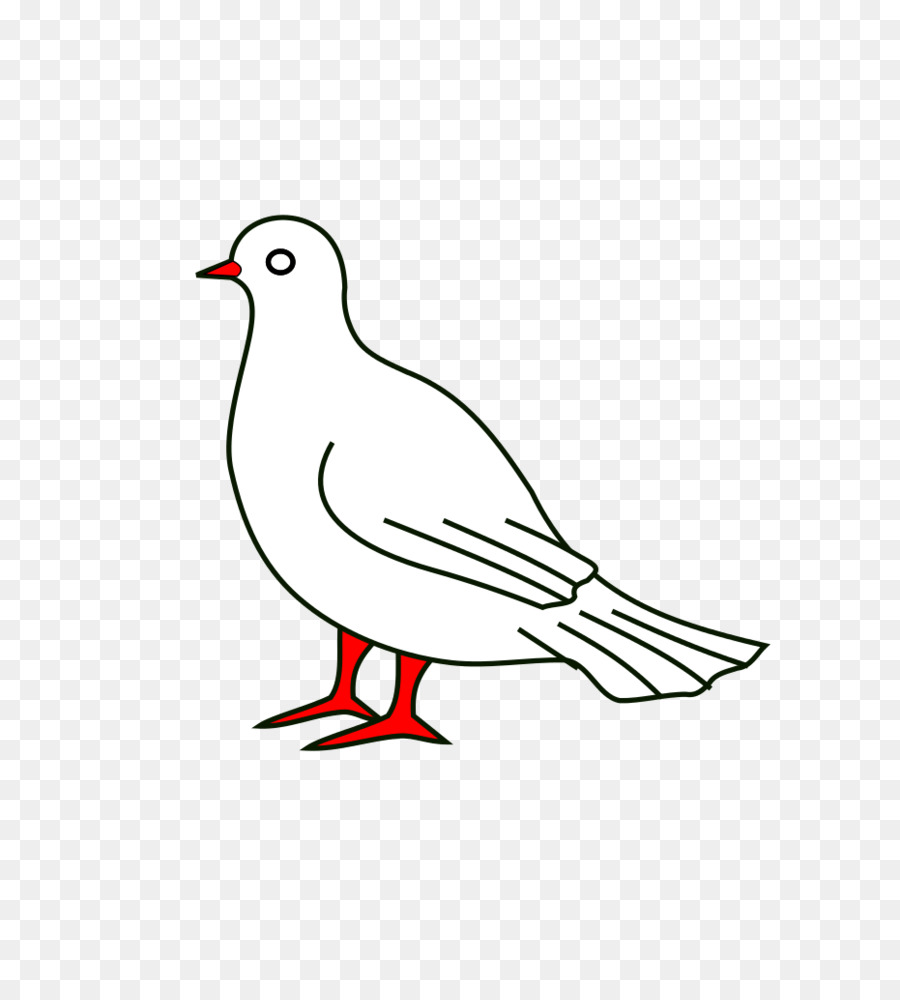 Dessin De Colombe，Pigeon PNG