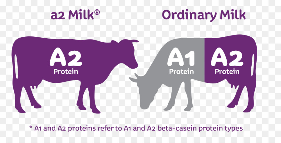 Lait A2，Laitier PNG