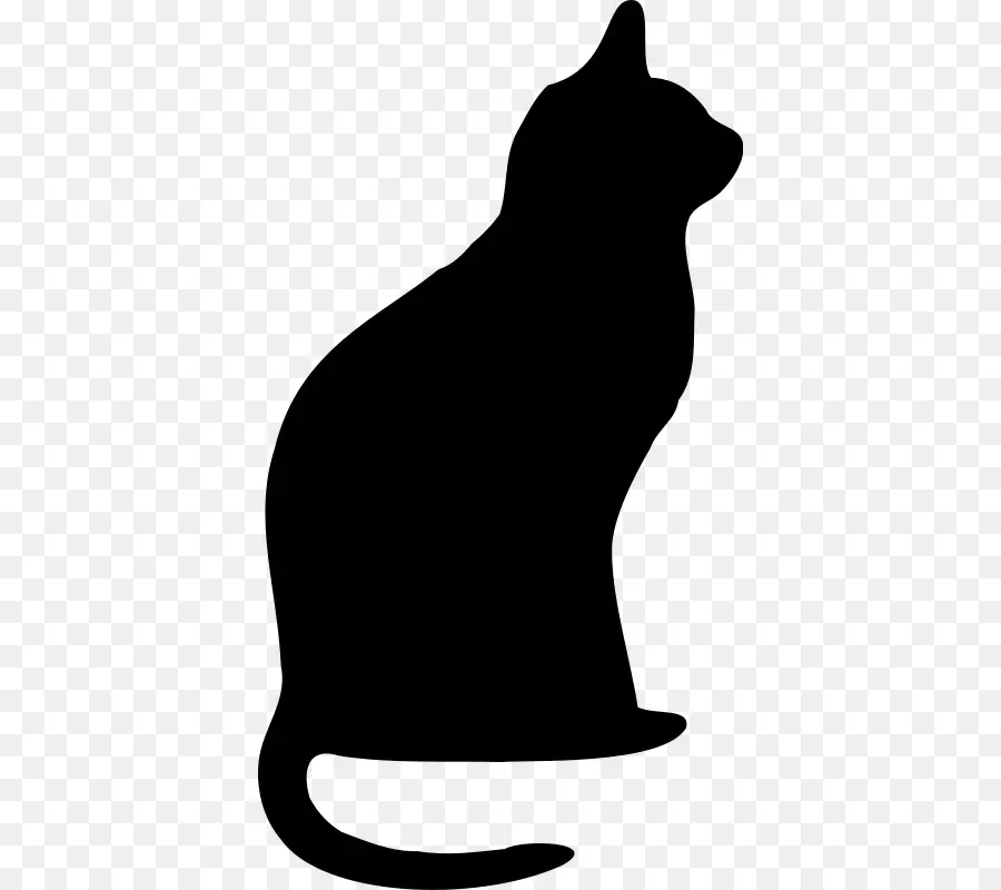 Raquettes Chat，Silhouette PNG