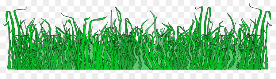 Herbe Verte，Pelouse PNG