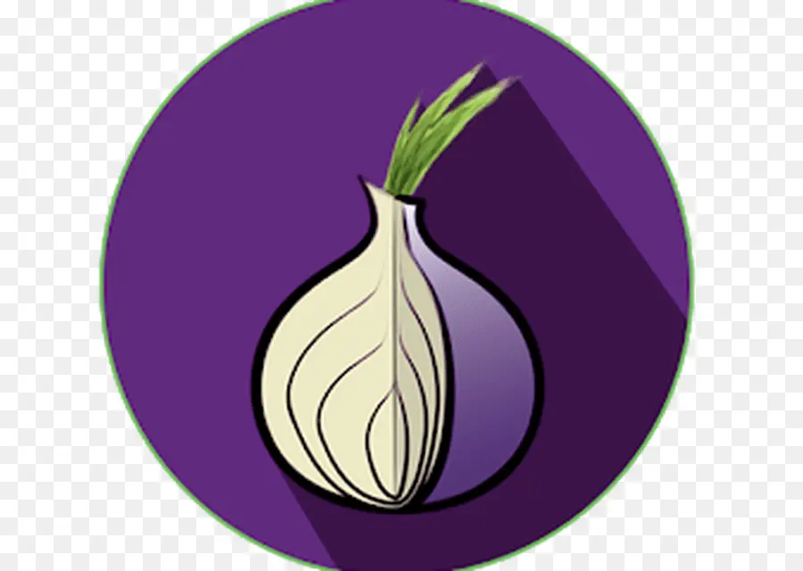 Tor，La Sécurité Informatique PNG
