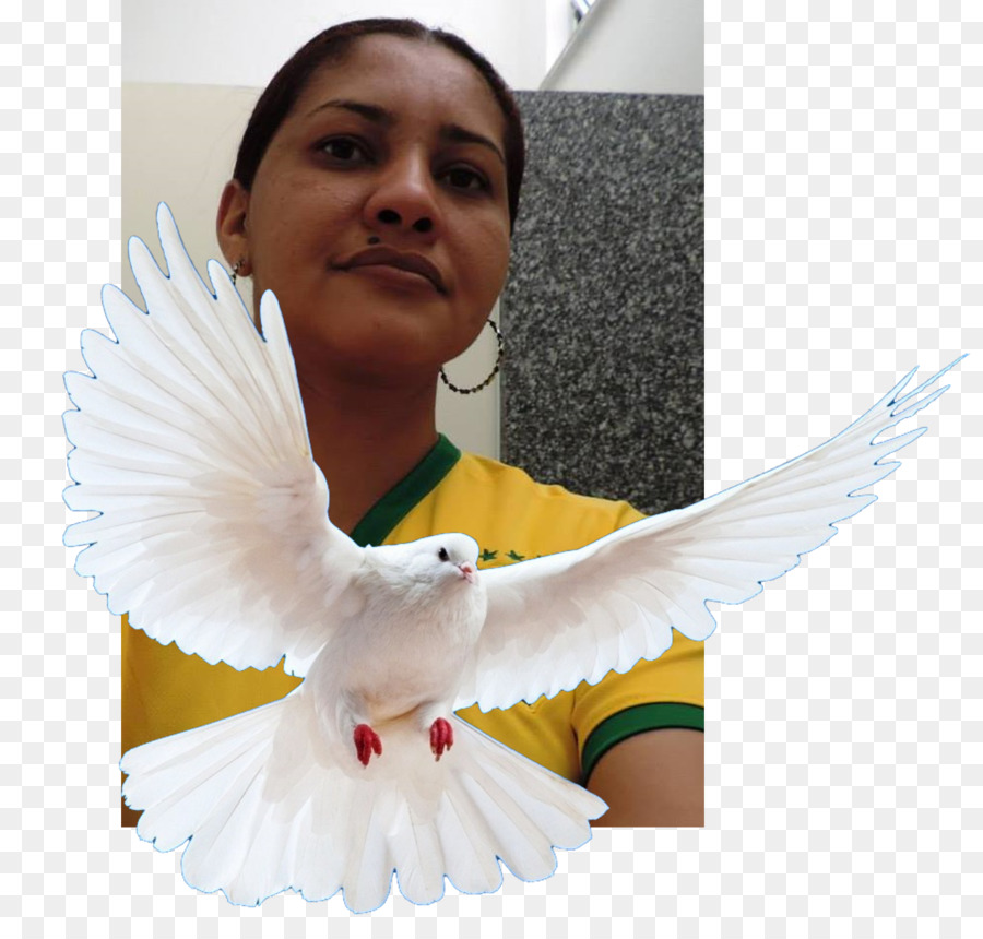 Bárbara Micheline Ne Monte Barbosa，Brésil Les Femmes De L équipe Nationale De Football PNG
