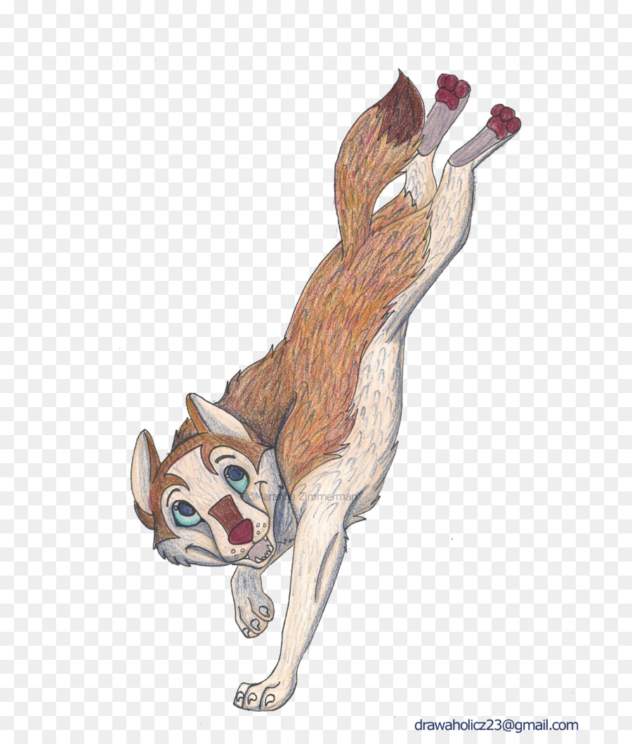 Chat，Renard Rouge PNG