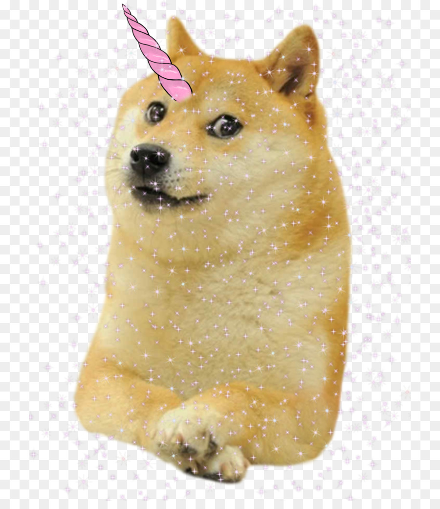 Le Shiba Inu，Chien Samoyède PNG