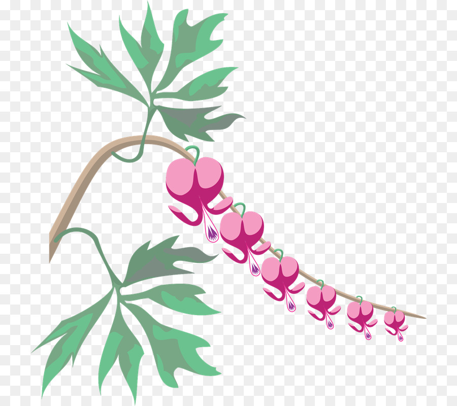 Branche，Feuille PNG