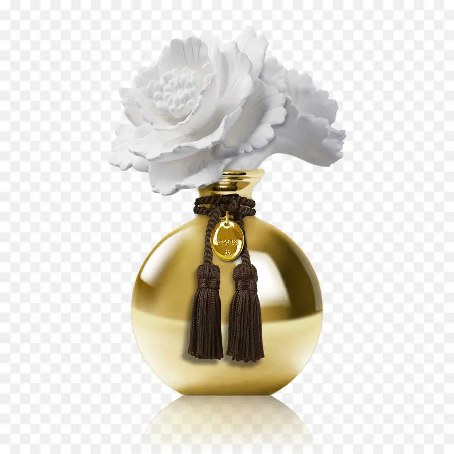 Flacon De Parfum，Parfum PNG