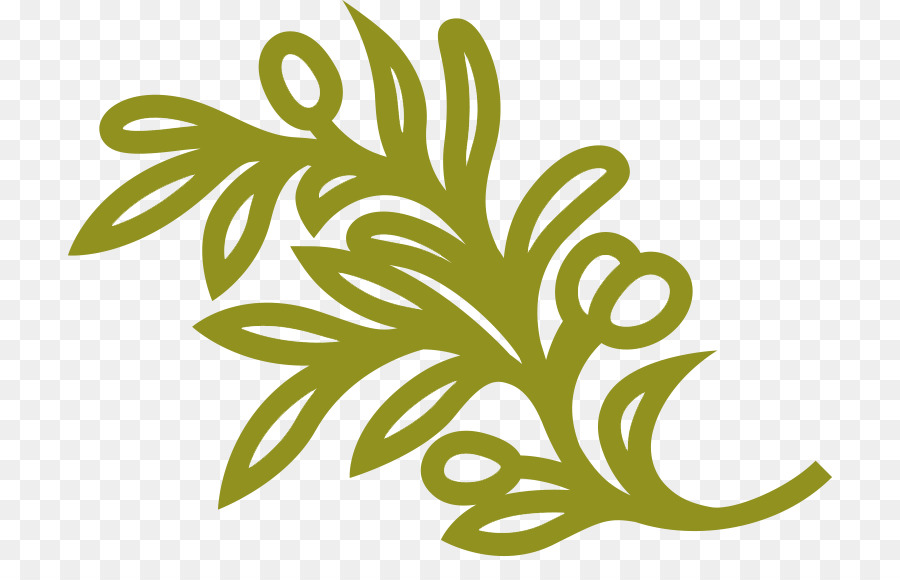 Conception Florale，Fleur PNG