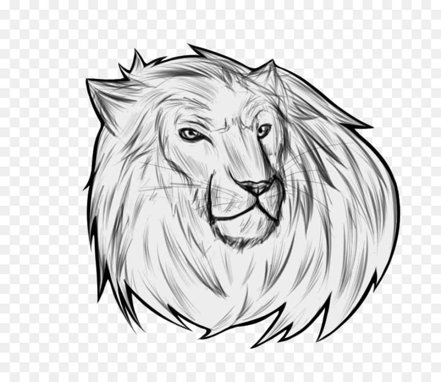 Dessin De Lion，Lion PNG