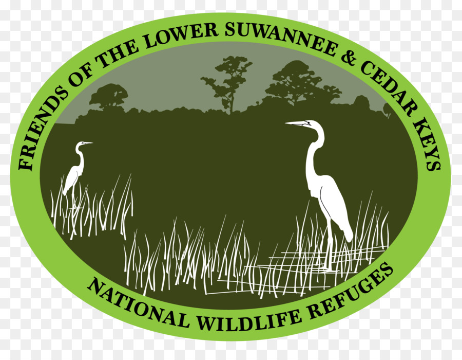 Baisse De La Suwannee National Wildlife Refuge，Cèdre Touches National Wildlife Refuge PNG