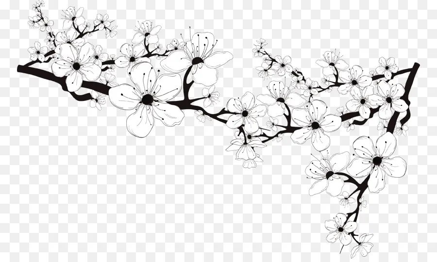 Branche De Fleurs De Cerisier，Fleurs PNG