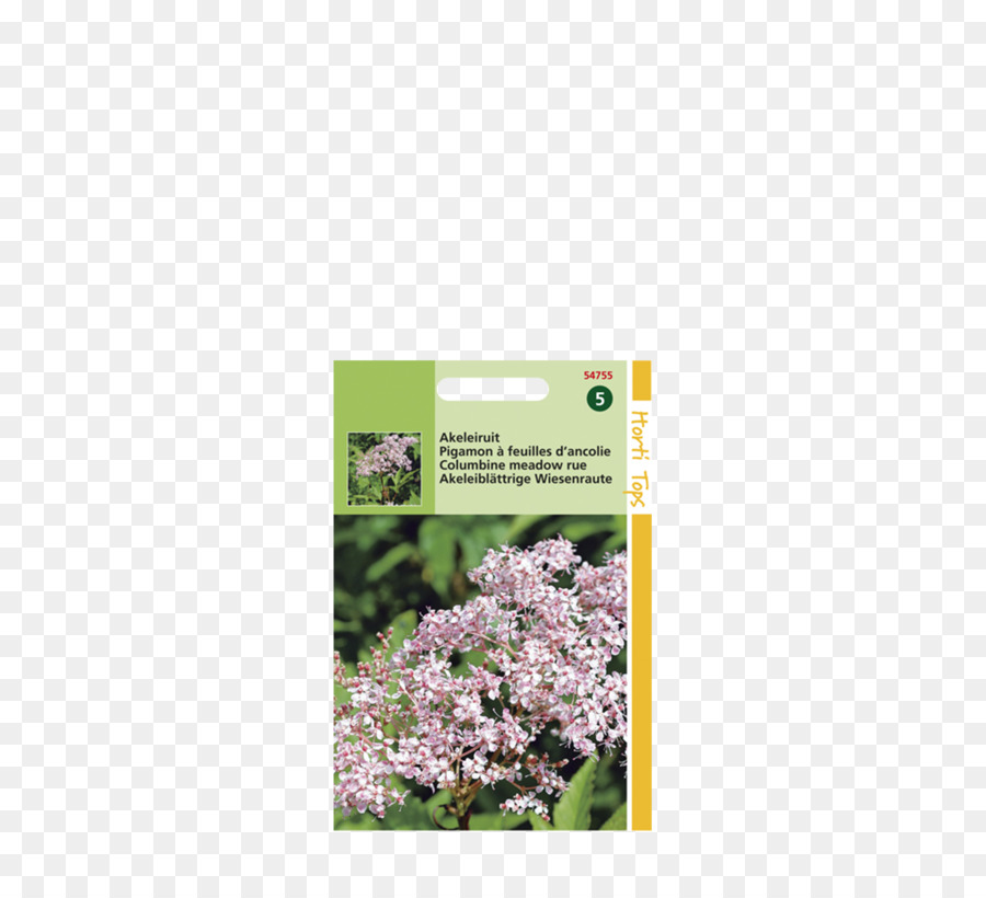 Français Hortensia，Plus Meadowrue PNG