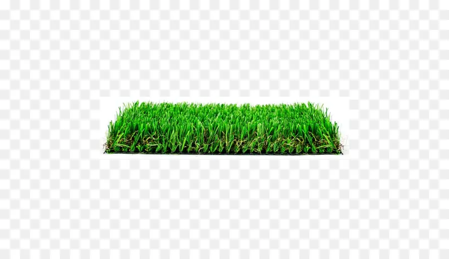 Herbe Verte，Pelouse PNG