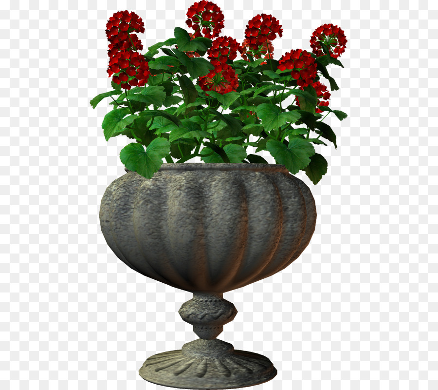 Fleurs Rouges，Pot PNG