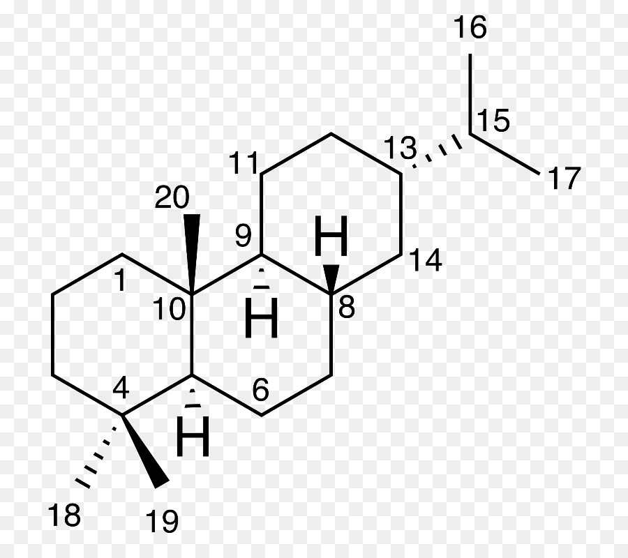 4hydroxytestostérone，Androstènedione PNG