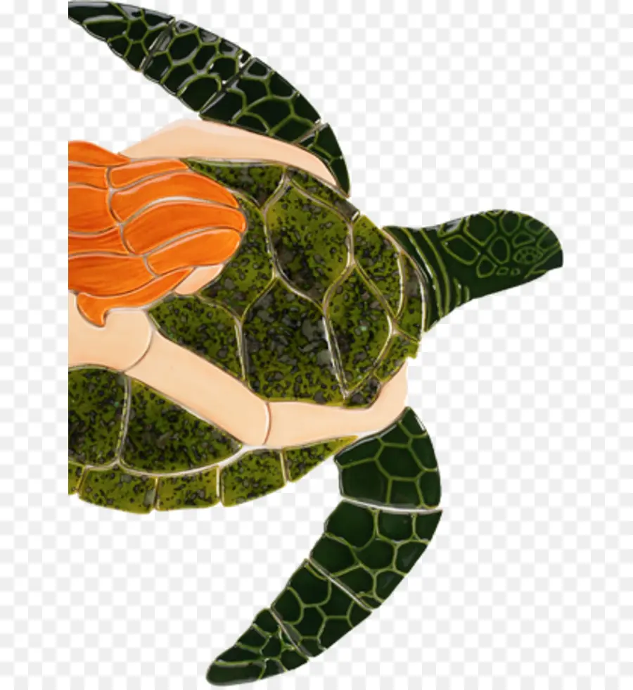 Tortue Avec Personne，Mer PNG