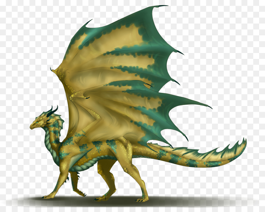 Dragon，Donjons Dragons PNG