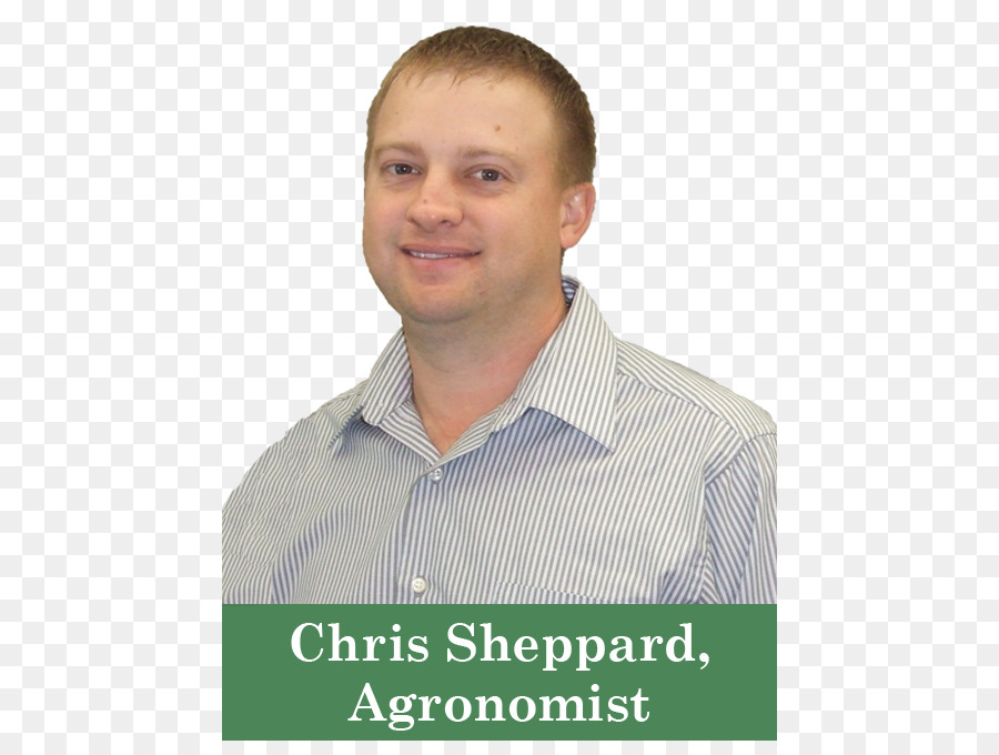 Chris Sheppard，Le Sorgho à Balais PNG