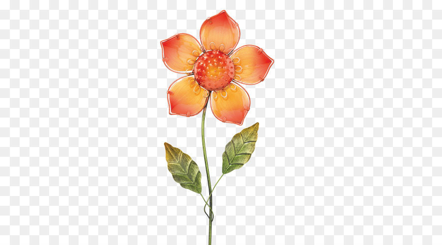 Orange，Jardin De Fleurs PNG