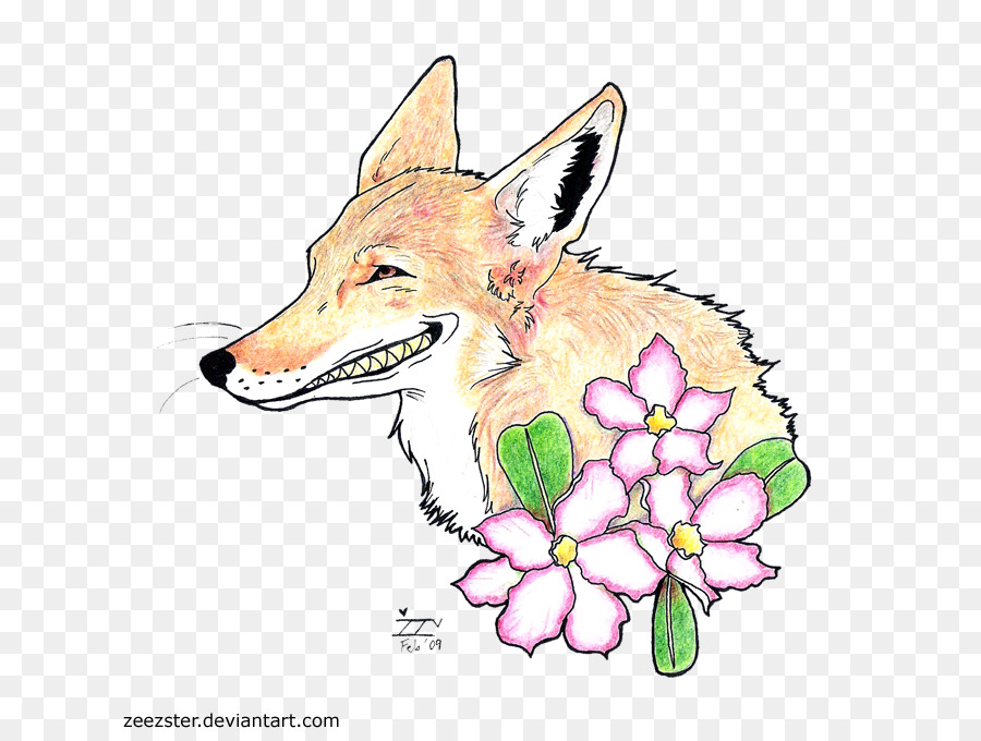 Renard Rouge，Coyote PNG