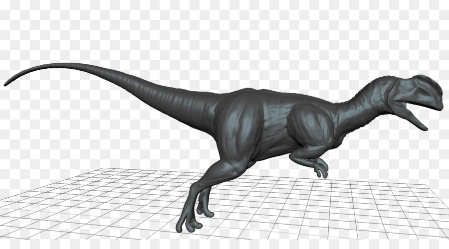 Vélociraptor，Tyrannosaurus PNG