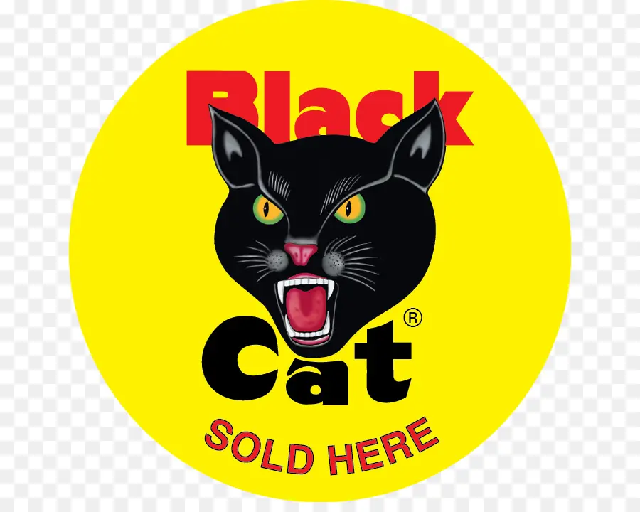 Chat Noir，Cercle Jaune PNG