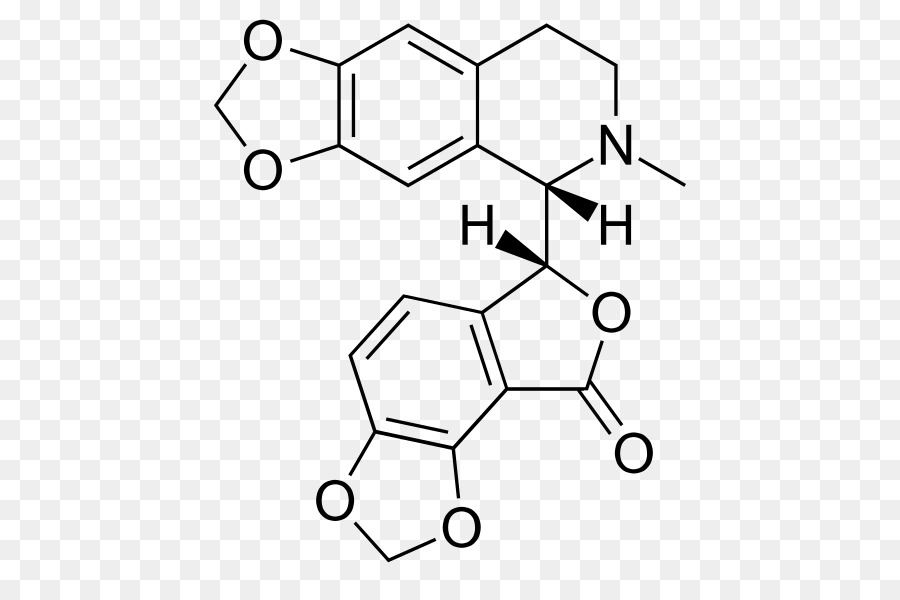 Structure Chimique，Molécule PNG